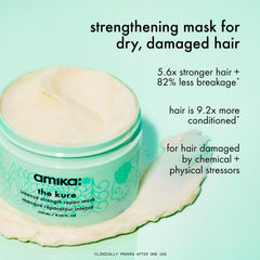 mane menders strength repair wash + care set