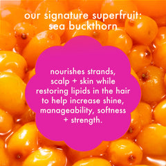 hydration trial kit hydro rush intense moisture shampoo, conditioner, mask + perk up dry shampoo